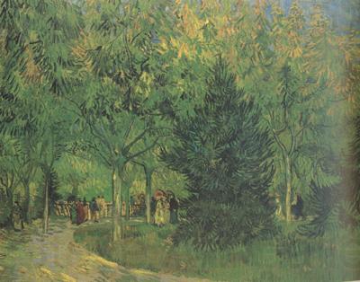 Vincent Van Gogh A Lane in the Public Garden at Arles (nn04) Norge oil painting art